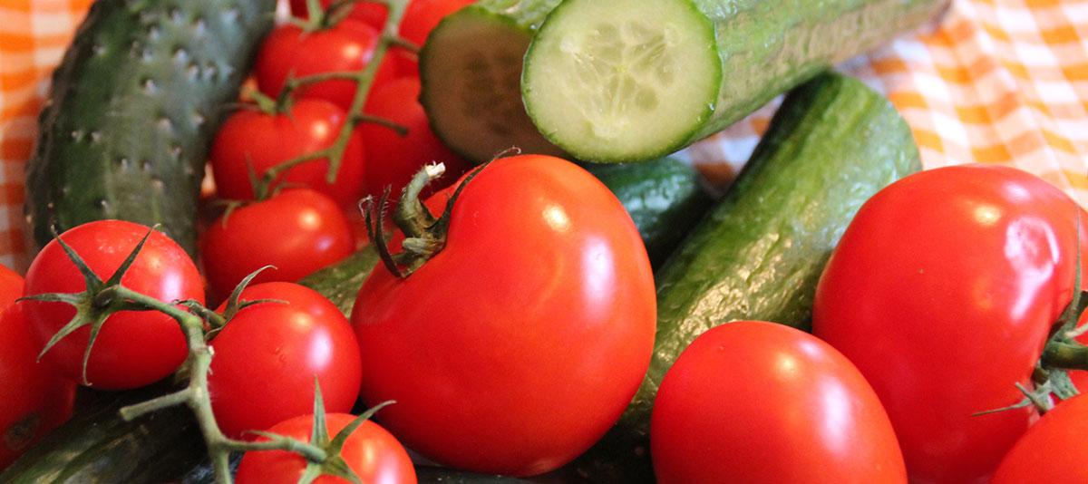 Tomaten und Gurken