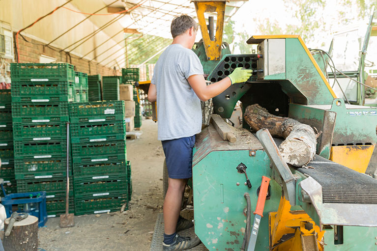 Bereits im Sommer wird das Kaminholz auf dem Obst- und Gemüsehof Wilms  gespalten